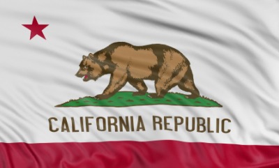 California+state+flag+bear