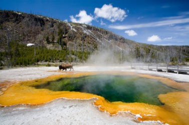 Yellowstone National Park was