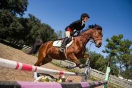 American College Jumpers