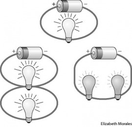 Scientific Circuit