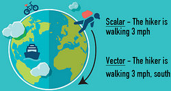 Examples of Vector and Scalar Quantity in Physics