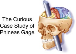 phineas gage is a famous case study within psychology because he