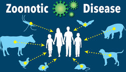 Examples Of Zoonotic Diseases