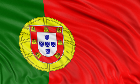 Portuguese Grammar Lessons