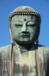 define siddhartha gautama