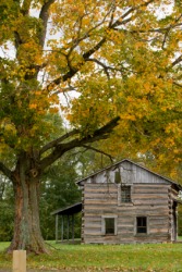 Cabin Dictionary Definition Cabin Defined