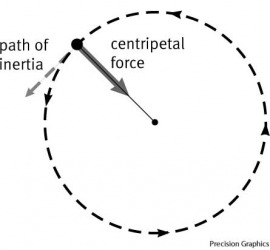 Centripetal force dictionary definition | centripetal force defined