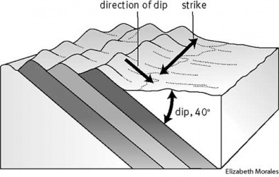 Dip dictionary definition | dip defined