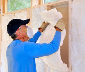 Insulate Dictionary Definition Insulate Defined