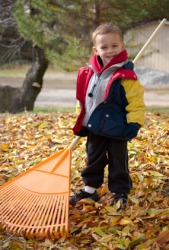 rake leaves in spanish