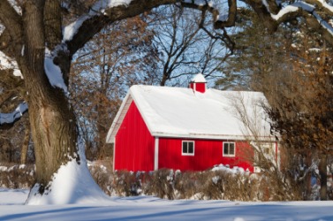 Barn Dictionary Definition Barn Defined